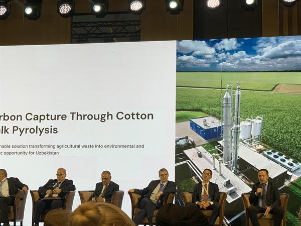 World Cotton Day 2026 — photo 2